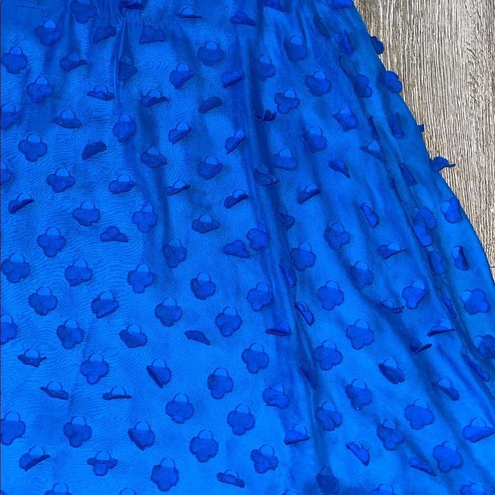 Anthropologie Maeve Blue Floral flower appique Midi Skirt size 10 - Picture 2 of 7
